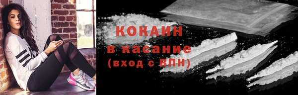 индика Карпинск