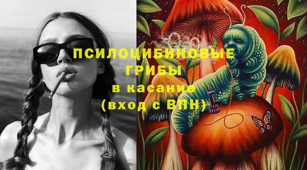 индика Карпинск