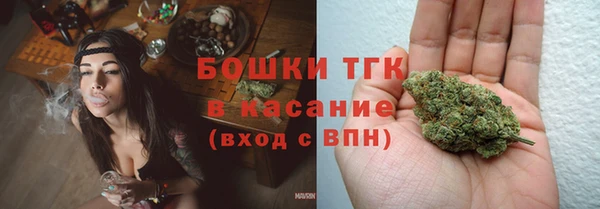 индика Карпинск