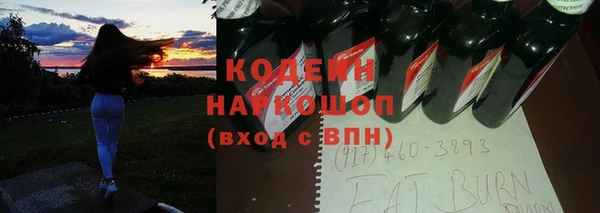 хмурый Касимов