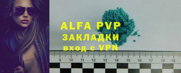 индика Карпинск