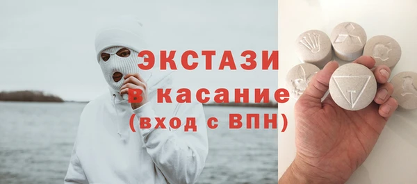 индика Карпинск
