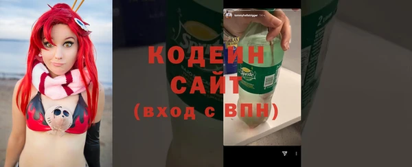 хмурый Касимов