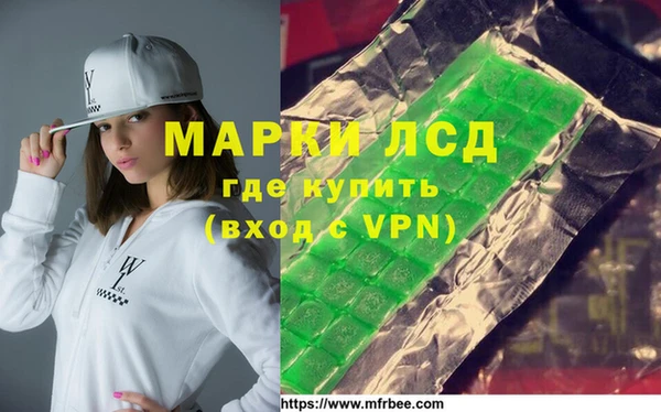 индика Карпинск