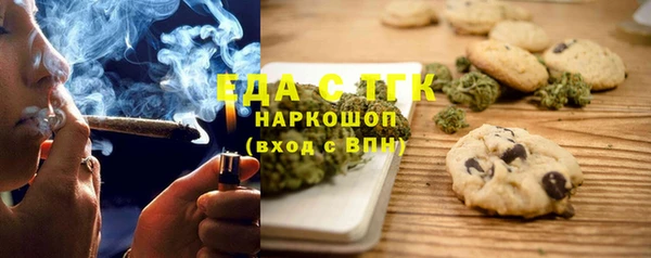 индика Карпинск