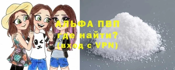 индика Карпинск