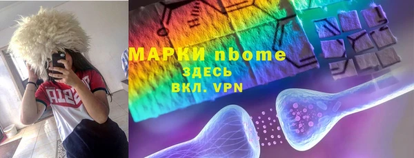 индика Карпинск