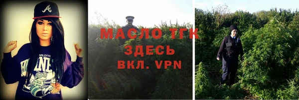 хмурый Касимов